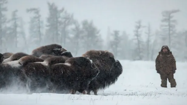 Туристические сервисы Ямала улучшили по максимуму