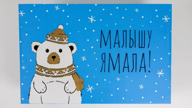 Вице-премьер РФ Татьяна Голикова отметила Ямал за рождаемость