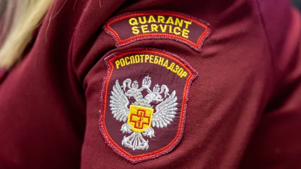 Сезон клещей на Ямале: Роспотребнадзор открыл горячую линию