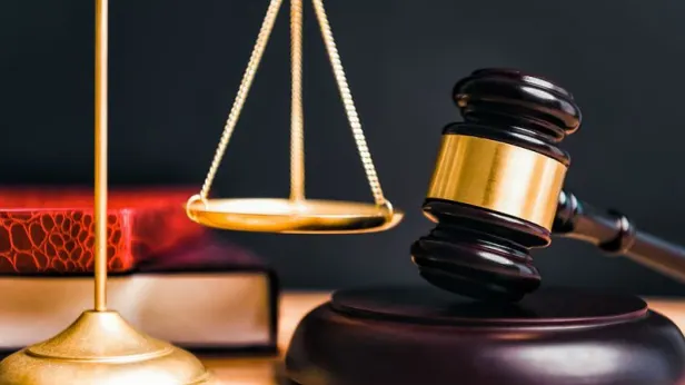 Недвижимость отца Блиновской пополнит конкурсную массу для продажи на торгах