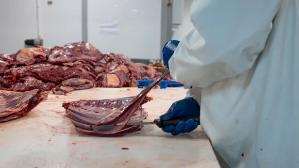 Предприятия Шурышкарского района заготовят более 70 тонн оленины