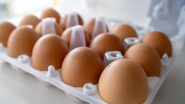 Главный профилактолог Ямала рассказал, как помочь своему иммунитету