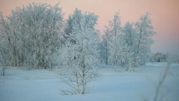 Тундровик отправился пешком в Новый Порт из-за сломавшегося в пути снегохода