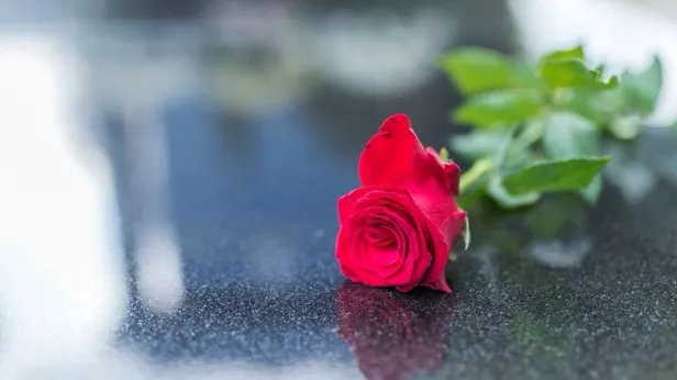 Стала известна причина смерти бойца ММА Пономарева в 31 год