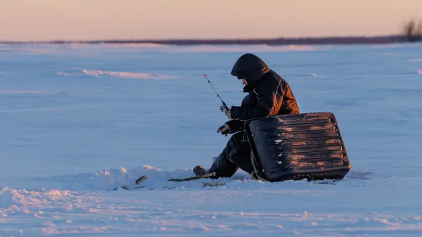 Первая лунка — и сразу окунь: рыбак показал рекордный улов на озере в ЯНАО