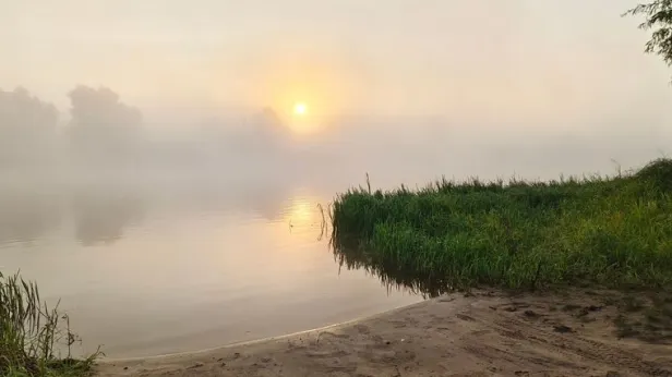 На Бали нашли расчлененное тело, которое может принадлежать пропавшему ранее украинцу