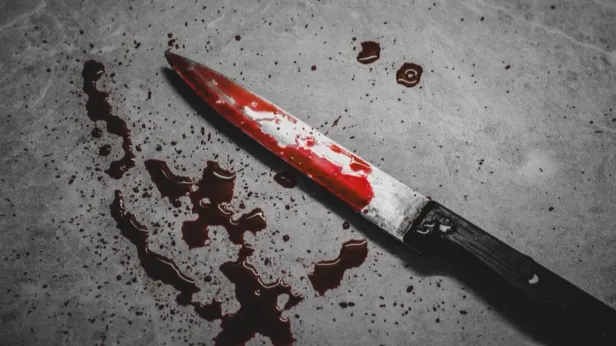 В Новосибирске 12-летняя девочка напала с ножом на детей