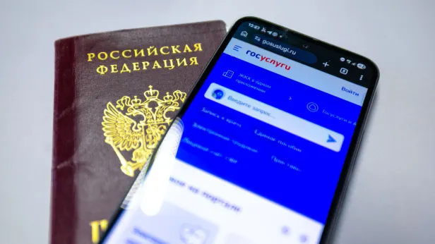 Преподаватель Финансового университета Климов рассказал, когда нужно прийти в МФЦ лично