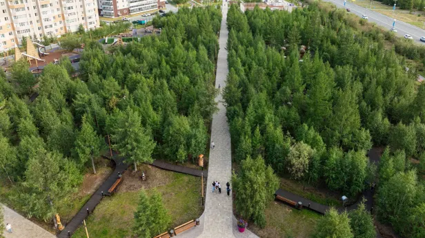 Новоуренгойцы выбирают место для озеленения
