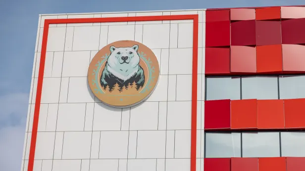 Ямалыч с северным характером может появиться в Губкинском