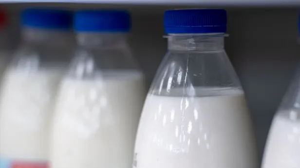 На Ямале рассказали о подешевевших продуктах