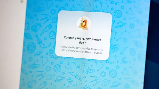 Названы самые популярные чат-боты Ямала