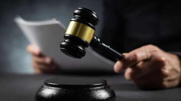 Стало известно о суде над обманувшими блогера Митрошину юристами