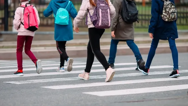 Безопасность детей на дороге зависит от взрослых участников дорожного движения. Здесь положительный пример очень важен. Фото: David Tadevosian / shutterstock.com / Fotodom