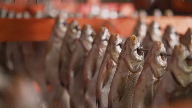 Новый цех позволит в два раза увеличить производство соленой, вяленой, сушеной и копченой рыбы. Фото: Sidorov_Ruslan  / shutterstock.com / Fotodom