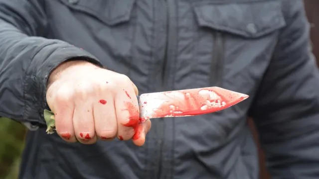 Обвиняемый в пьяной драке нанес несколько ударов ножом. Фото: Radovan1 / shutterstock.com