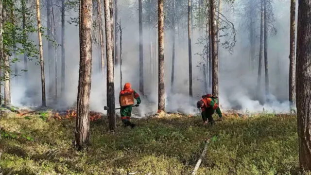 Лесной пожар. Фото: пресс-служба губернатора ЯНАО