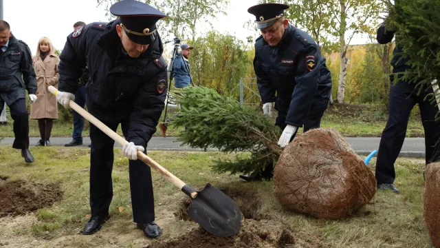 Правоохранительные органы высадили 42 деревца. Фото: Василий Петров / «Ямал-Медиа»