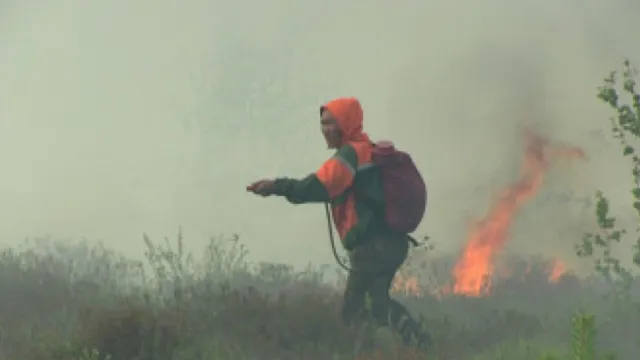 Огнеборцы потушили все природные пожары, бушевавшие на Ямале. Фото предоставлено департаментом гражданской защиты и пожарной безопасности ЯНАО