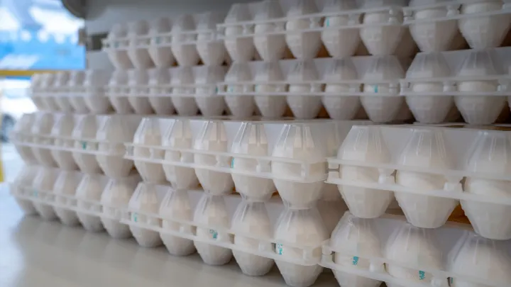 В Губкинском прокуратура добилась снижения цен на чай и яйца